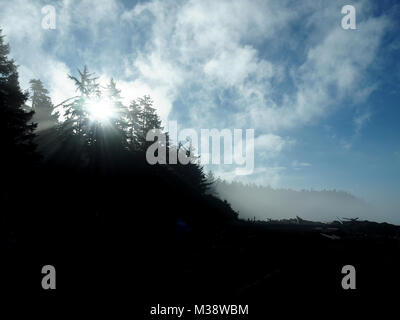 Sun rise sulle foreste sulla costa occidentale del Canada Foto Stock