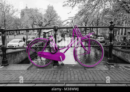 Una foto di una solitaria bicicletta viola sul ponte sul canale di Amsterdam. Lo sfondo è bianco e nero. Foto Stock
