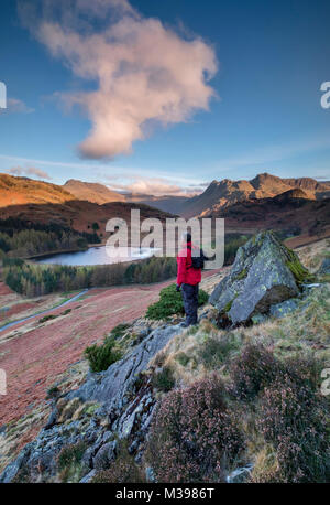 Walker si affaccia Blea Tarn presso Sunrise, Little Langdale, Parco Nazionale del Distretto dei Laghi, Cumbria, Inghilterra modello rilasciato Foto Stock