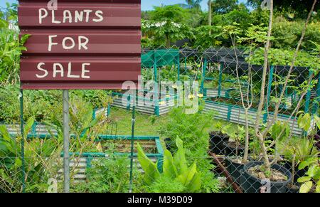 Impianto per la vendita il segno inviato in un recinto a un pubblico comunità giardino con giardino sfoggiato i letti coltivazione di erbe e verdure Foto Stock