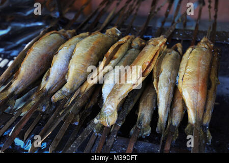 Deliziose trote su spiedini arrostite su un grill Foto Stock