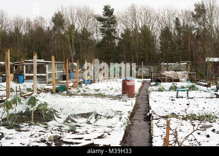 Riparto giardino in inverno, con una copertura di neve, North East England, Regno Unito Foto Stock