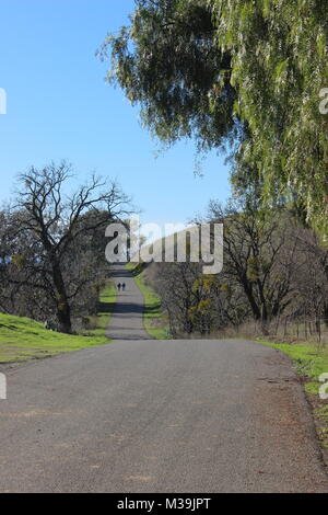 Uccelli Strada di atterraggio, Uccelli atterraggio, Solano County, California Foto Stock