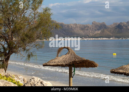 La canna da zucchero ombrellone in Pollenca Port. Maiorca, SPAGNA Foto Stock