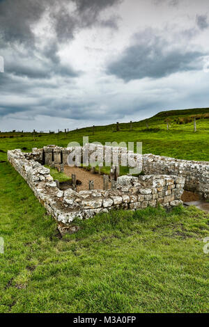 Le rovine romane del tempio di Mitra, il vallo di Adriano, Carrawburgh, Newbrough, Northumberland, England, Regno Unito Foto Stock