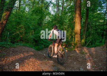 Escursioni in bicicletta attraverso i sentieri nei boschi Foto Stock