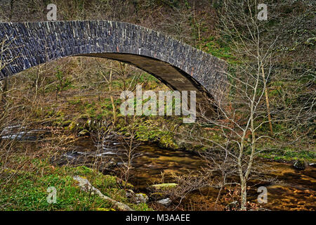 Regno Unito, Devon settentrionale, Exmoor, Footbridge sull'East Lyn River. Foto Stock