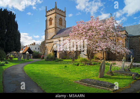 UK,Somerset,Taunton,Wilton,St Georges chiesa in primavera Foto Stock