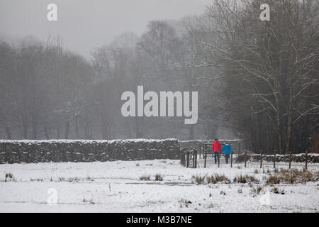 Un giovane che indossa il rosso e il blu giacche a piedi nella neve lungo il percorso a Elterwater nel distretto del lago, Inghilterra, Regno Unito su un giorno di inverni con forti nevicate Foto Stock