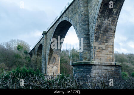 Il Viadotto di Victoria, che si trova a Washington - un arco in pietra viadotto ferroviario di attraversare il fiume e usura, che è stato parte della linea Leamside del vecchio Durham Foto Stock