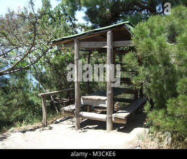 Tavolo in legno e banco sotto una tettoia tra gli abeti della foresta. Foto Stock