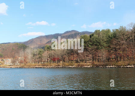 Paesaggio autunnale di Nami Island in giornata soleggiata, Corea del Sud Foto Stock
