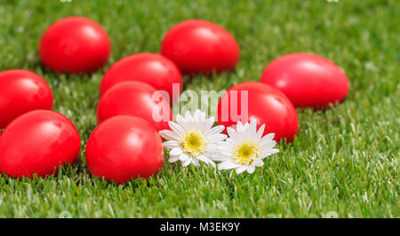 Concetto di pasqua. Le uova di rosso e bianco margherite su erba verde, vista ravvicinata Foto Stock