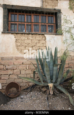 Vecchio alterò in mattoni e stucco e nel deserto con cactus Foto Stock