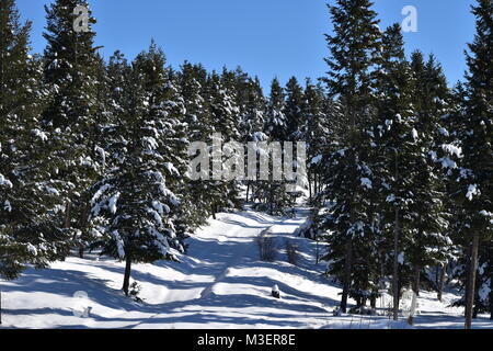 Scena invernale in una bella giornata di sole. Prese in febbraio 10, 2018 a 2:25 PM. Foto Stock