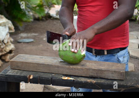 Dettaglio di un nero uomo locale, un giardiniere, apertura di un verde giovane noce di cocco con un machete (Cayo Coco, Cuba) Foto Stock