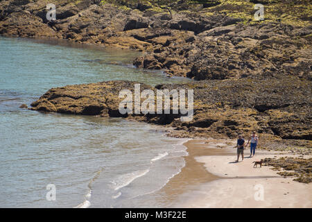 Due persone a piedi il loro cane al Rozel Bay, Jersey, Isole del Canale, REGNO UNITO Foto Stock