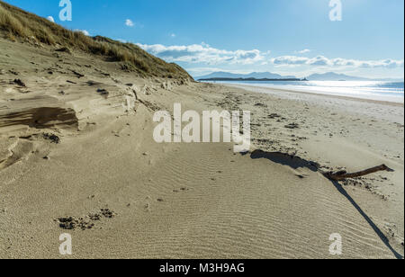 Una vista lungo la spiaggia di Newborough, vicino Malltraeth su Anglesey guardando verso Llanddwyn Island e le montagne di Snowdonia Foto Stock