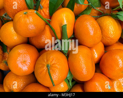 Un grande gruppo di arance e di vigne. Un colorato sfondo o sfondo. Foto Stock