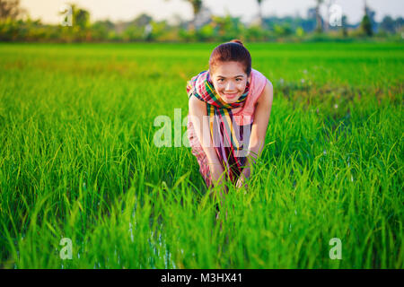Agricoltore donna che lavorano nel campo di riso, Thailandia Foto Stock