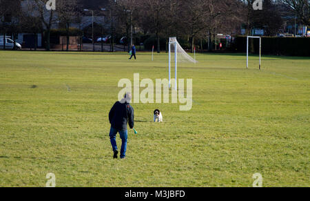 Dundee, Scotland, Regno Unito. Xi Febbraio, 2018. Regno Unito meteo: un terribilmente freddo inverno di giorno in tutta Tayside con temperature vicino al congelamento. Un dog walker esercitando il suo cane in un parco locale in Scozia. Credits: Dundee fotografico/Alamy Live News Foto Stock