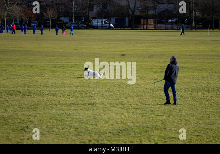 Dundee, Scotland, Regno Unito. Xi Febbraio, 2018. Regno Unito meteo: un terribilmente freddo inverno di giorno in tutta Tayside con temperature vicino al congelamento. Un dog walker esercitando il suo cane in un parco locale in Scozia. Credits: Dundee fotografico/Alamy Live News Foto Stock