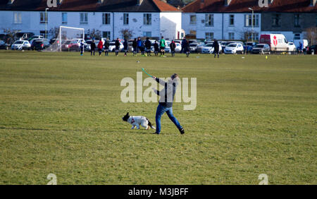 Dundee, Scotland, Regno Unito. Xi Febbraio, 2018. Regno Unito meteo: un terribilmente freddo inverno di giorno in tutta Tayside con temperature vicino al congelamento. Un dog walker esercitando il suo cane in un parco locale in Scozia. Credits: Dundee fotografico/Alamy Live News Foto Stock