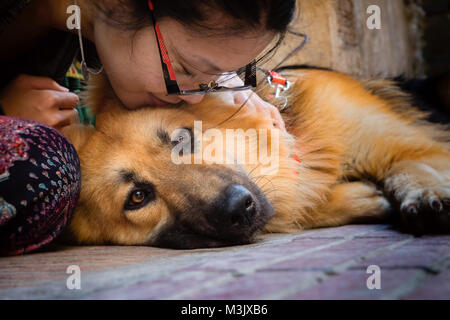 Asian giovane donna baci bellissimo pastore tedesco cane in Marocco Foto Stock