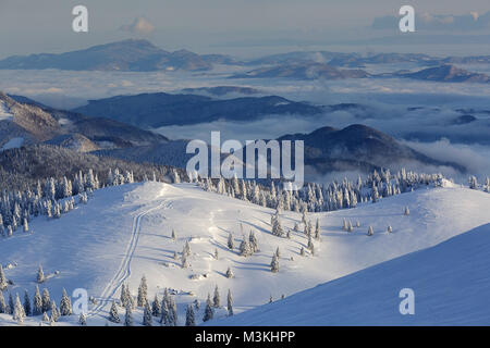 Winter scene on snow covered plateau with pine trees and mountains in the background. Foto Stock