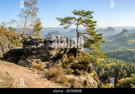 Autunno mattina presso la Svizzera sassone vicino a Dresda, Germania Est Foto Stock