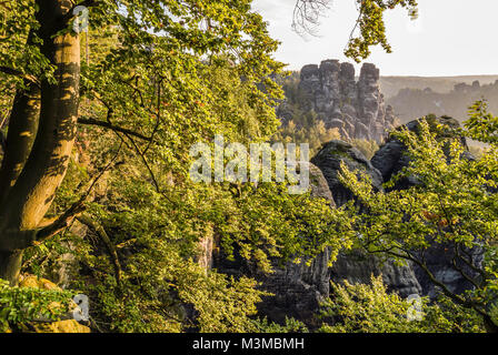 Autunno mattina presso la Svizzera sassone vicino a Dresda, Germania Est Foto Stock