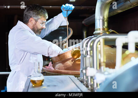 Occupato tecnico della birra il controllo del processo di fermentazione Foto Stock