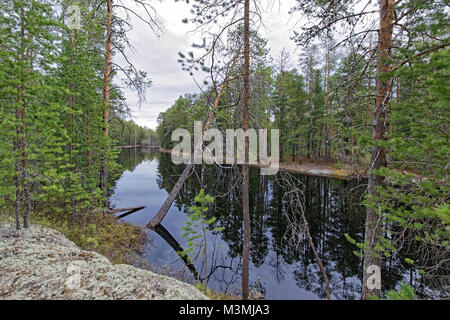 La Taiga fiume Yeguryah in Siberia occidentale, Yugra. Alluvione nella natura incontaminata, silenzio, nuvoloso meteo Foto Stock