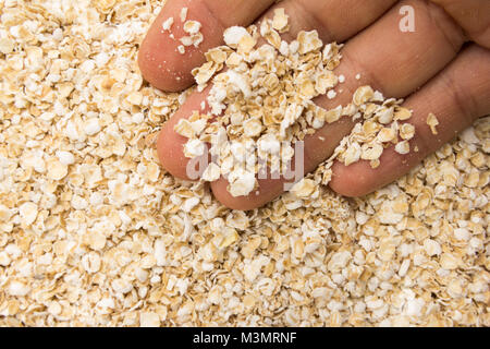 Avena sativa è il nome scientifico di cereali di avena sfaldarsi. Noto anche come Aveia o avena. Persona con grani in mano. Macro. Tutto il cibo. Foto Stock