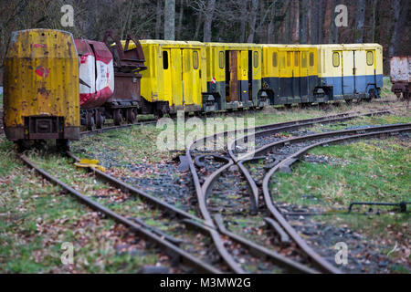 Il mio treno con carri passeggero, visitatore del mio Grube Fortuna, Solms, Germania Foto Stock