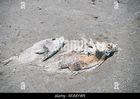 Salton Sea Bombay Beach adottate nel 2015 Foto Stock