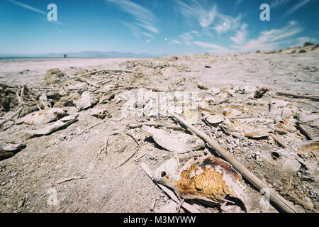 Salton Sea Bombay Beach adottate nel 2015 Foto Stock