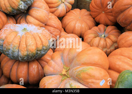 Pila di zucche Foto Stock