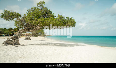 Eagle beach sull'isola di Aruba Foto Stock