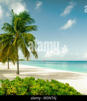 Seven Mile Beach sull'isola Grand Cayman, Isole Cayman Foto Stock