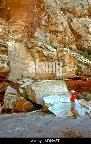 Ultimi rock crash, Moenkopi formazione, lungo il Parco nazionale di Capitol Reef's Scenic Drive, il centro-sud della Utah. Foto Stock