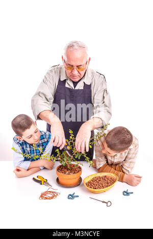 Senior uomo con i suoi nipoti avendo cura di pianta di bonsai Foto Stock