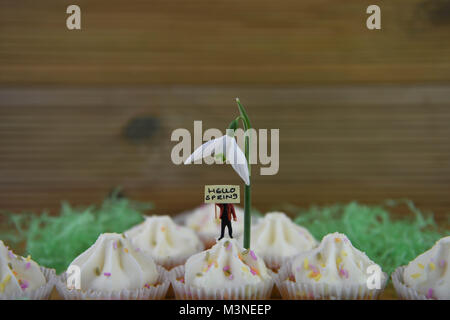 Fresco di primavera snowdrops sulle tortine con cute persona in miniatura figurina tenendo un cartello per Ciao molla Foto Stock