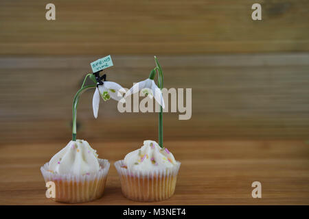 Fresco di primavera snowdrops sulle tortine con cute persona in miniatura figurina tenendo un cartello per Ciao molla Foto Stock