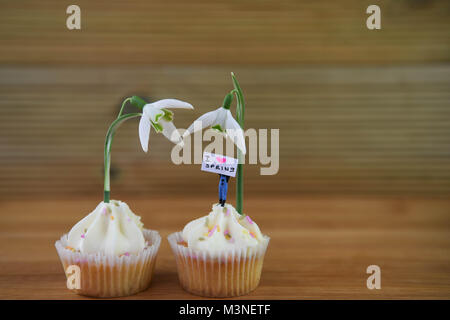 Fresco di primavera snowdrops sulle tortine con cute persona in miniatura figurina tenendo un cartello per Ciao molla Foto Stock