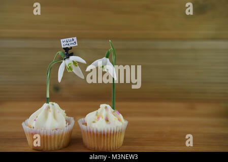 Fresco di primavera snowdrops sulle tortine con cute persona in miniatura figurina tenendo un cartello per Ciao molla Foto Stock