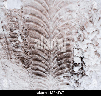 Close-up di sporco di neve in inverno nella città. Le tracce delle ruote delle auto del battistrada sulla neve. Foto Stock