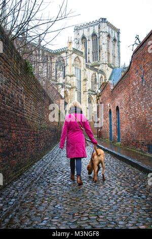 Una vista posteriore di una ragazza alla moda in un cappotto invernale a piedi attraverso la città di York con il suo cane. Foto Stock