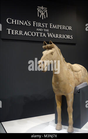 La dimensione di vita della cavalleria cavallo in Cina il primo imperatore e i Guerrieri di Terracotta mostra sul display presso il World Museum Liverpool, in Inghilterra, Regno Unito. Foto Stock