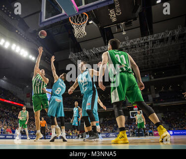 Vladimir Golubovic (L) durante la Movistar Estudiantes vittoria sul Betis Energia Plus (89 - 83) nella Liga Endesa stagione regolare gioco (giorno 20) ha celebrato a Madrid al Centro Wizink. 11 febbraio 2018. Foto Stock